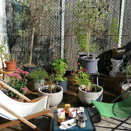 Paris Terrasse